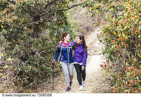 Female hikers walking on footpath amidst plants
