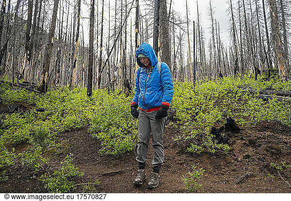 Female hiking through a burned forest from a wildfire