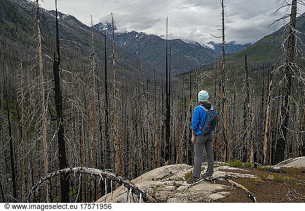 Female hiking through a burned forest in the Entiat river valley
