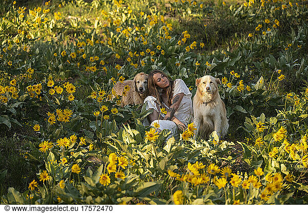 Female in a dress posing with dogs in a field of wildflowers