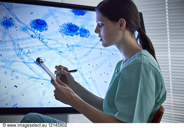 Female nurse with clipboard looking at magnified microscope slide on computer monitor