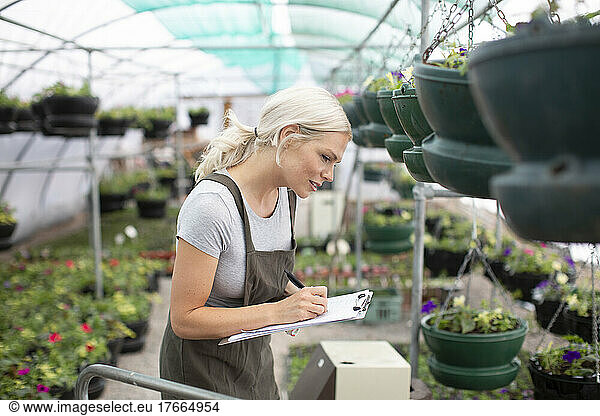 Female plant nursery owner inspecting hanging baskets in greenhouse