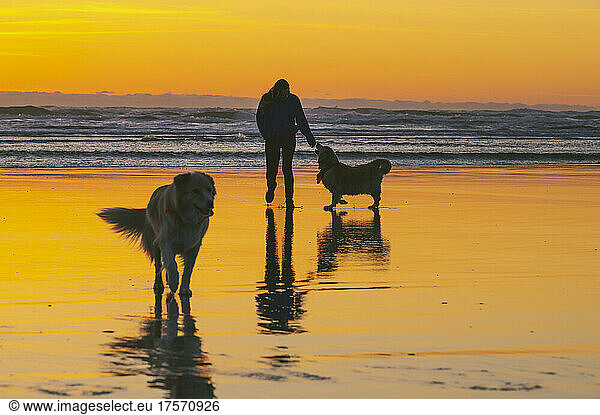 Female playing with their dogs on the Washington Coast at sunset