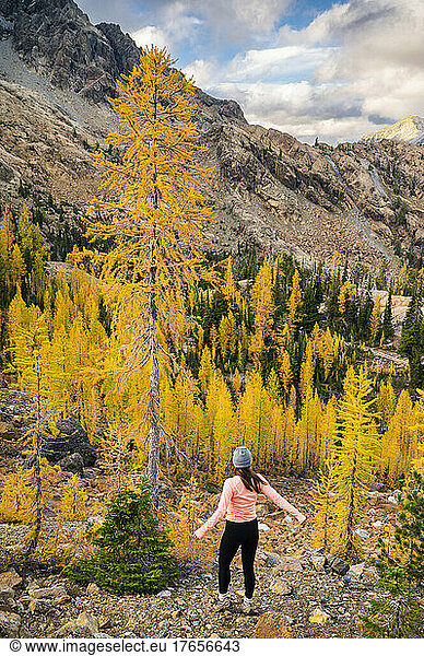 Female posing in a basin of larches in the alpine lakes wilderness