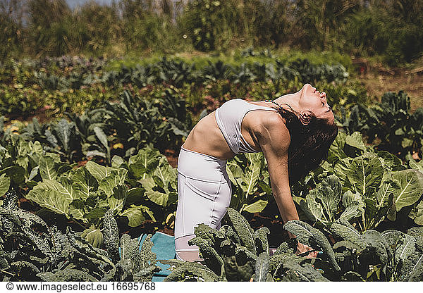 Female practices yoga with a backbend in a field of vegetables