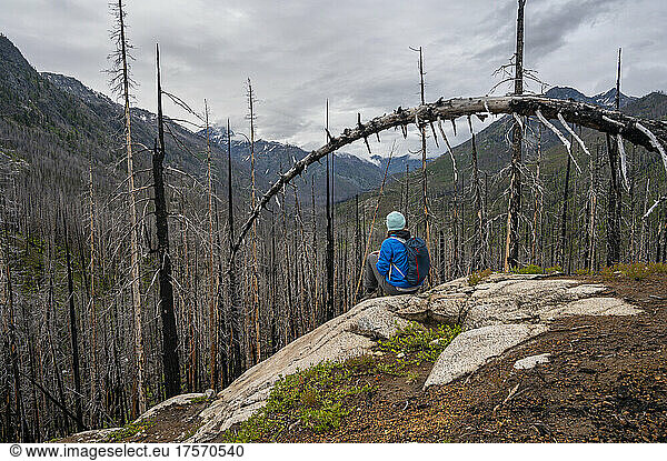 Female sits inside a dead burned forest in the Entiat river valley