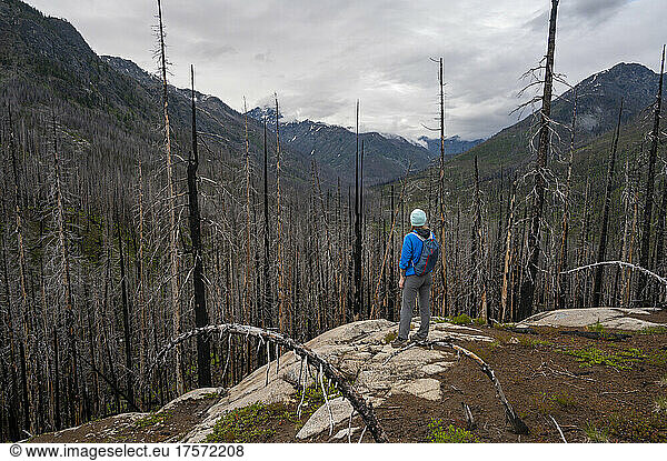 Female stands among dead burned trees from a wildfire