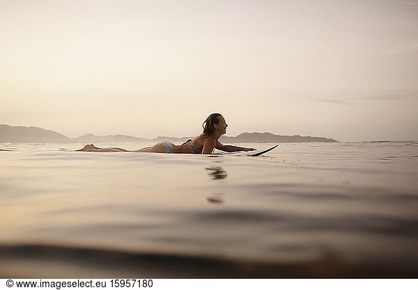 Female surfer lying on surfboard in the evening  Costa Rica