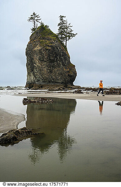 Female walking next to a sea stack on the olympic coast at low tide