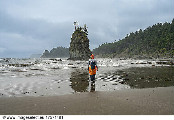 Female walking on the olympic coast at low tide with sea stacks