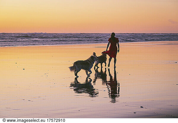 Female walking with their dogs on the Washington Coast at sunset