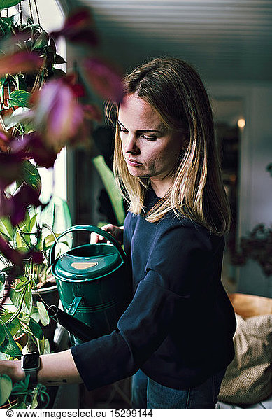 Female watering potted plants on window sill at home