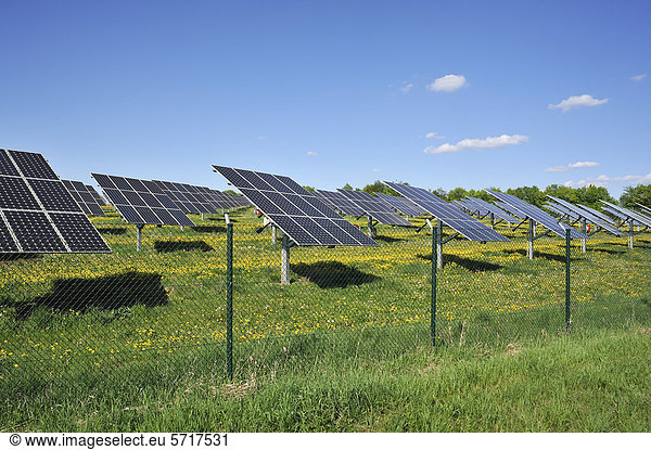 Fenced  large photovoltaic plant on a flowering meadow  Oberruesselbach  Upper Franconia  Bavaria  Germany  Europe