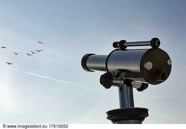 Fernrohr zeigt auf blauen Himmel mit Vogelschwarm  Symbolbild Hobby Vogelbeobachtung  Naturbeobachtung