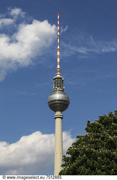 Fernsehturm Alexanderplatz  Berlin  Deutschland  Europa