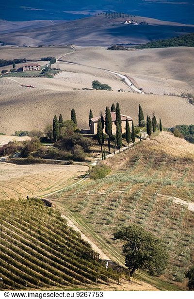 Fernsicht auf das Bauernhaus in der Agrarlandschaft Siena Valle D'Orcia Toskana Italien