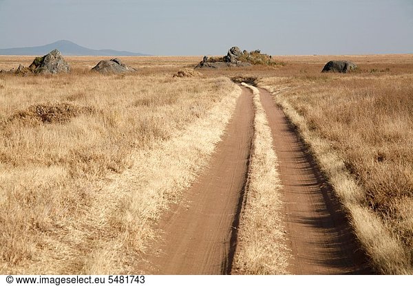 Fernverkehrsstraße  schmutzig  Masai  Serengeti Nationalpark  Tansania
