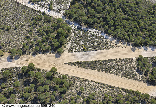 Fernverkehrsstraße  Wald  Sand  Kiefer  Pinus sylvestris  Kiefern  Föhren  Pinie  Ansicht  Provinz Huelva  Luftbild  Fernsehantenne  Andalusien  Spanien