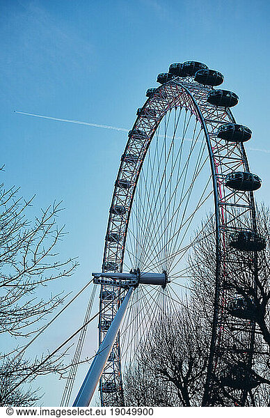 Ferris wheel in park in evening