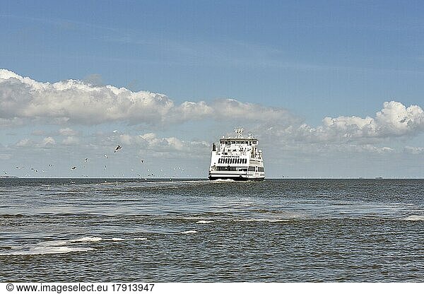 Ferry Norderaue of the shipping company W. D. R. Schleswig-Holstein Wadden Sea National Park  North Friesland  Schleswig-Holstein  Germany  Europe