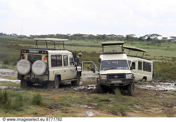 Festgefahrene Safarifahrzeuge  Abschleppaktion  Schlammpiste  Serengeti  Tansania