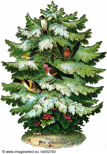 festivities New Year's Eve and New Year 'Alles Gute zum Neuen Jahr' (Happy New Year) snowy fir tree with songbird scrap-picture lithograph Germany 1879