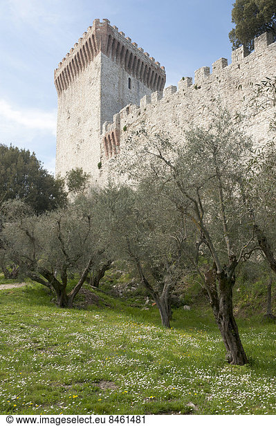 Festungsmauer mit Turm  Castello del Leone  1247  Castiglione del Lago  Umbrien  Italien