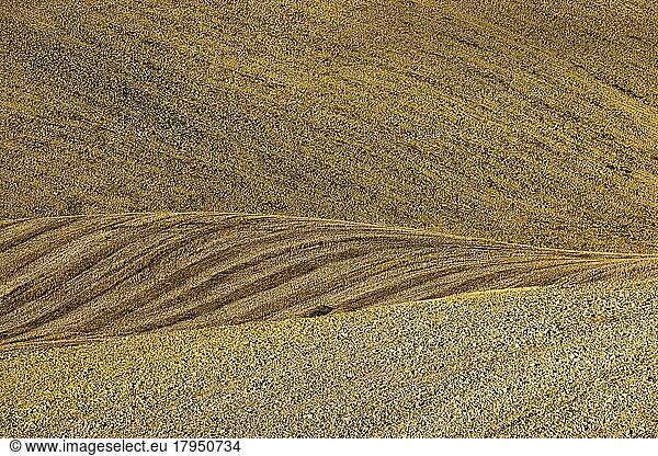 Field after harvest in hilly landscape  near Asciano  Tuscany  Italy  Europe