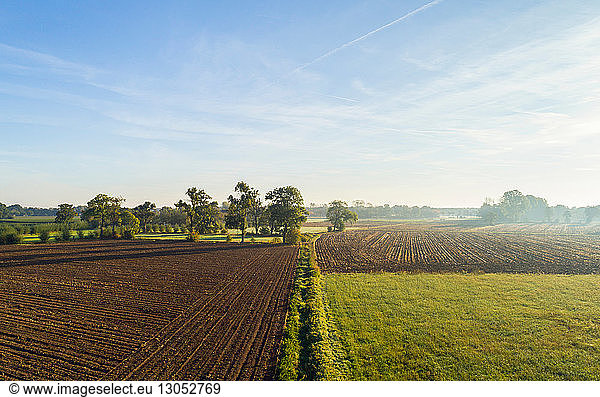 Field landscape in autumn sunlight  elevated view  Netherlands