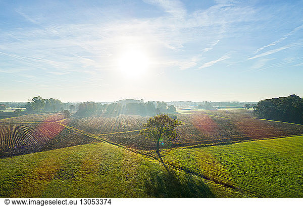 Field landscape in autumn sunlight  elevated view  Netherlands