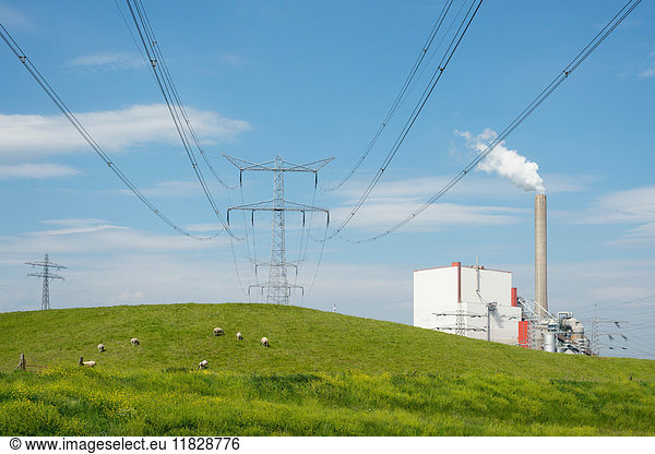 Field landscape with electric pylon and coal fired power station