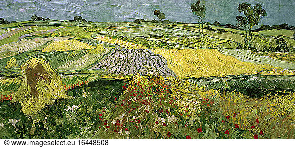 Fields in Auvers