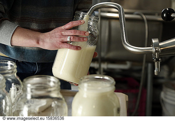 Filling a mason jar with milk at a dairy farm in Carbondale  Colorado.