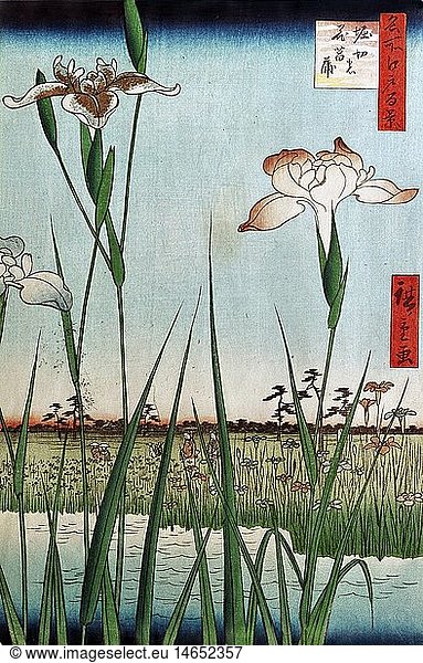 fine arts  Hiroshige Utagawa (1797 - 1858)  water lilies at Horokiri  woodcut  36x24 cm  circa 1857  Museum of East Asian Art  Cologne