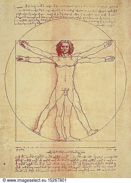 fine arts  Leonardo da Vinci (1452 - 1519)  drawings  Vitruvian Man  1492  Galleria dell Accademia  Venice  sanguine
