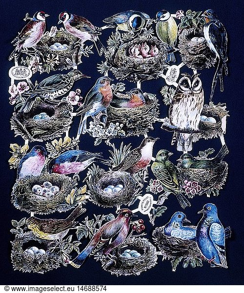 fine arts  prints  chromolithograph on pierced precious paper  embossed  lacquered  birds and their nests  England  circa 1900