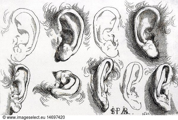 fine arts  Ribera  Jusepe de (1591 - 1652)  etching  study of ears  1622  private collection