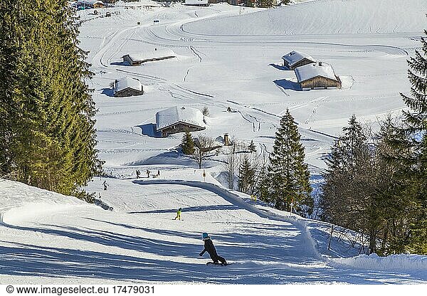 Finish slope of the Grünsee downhill run,  Spitzingsee ski area,  Upper Bavaria,  Germany,  Europe