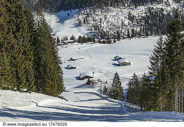 Finish slope of the Grünsee downhill run  Spitzingsee ski area  Upper Bavaria  Germany  Europe
