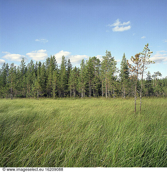 Finland  Hossa National park