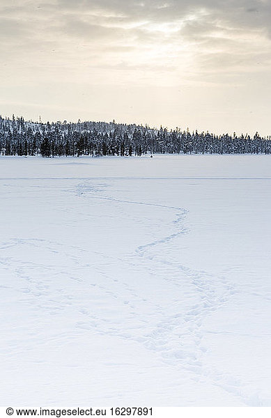 Finland  Winter landscape near Inari