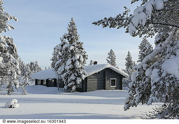 Finnland  near Saariselka  Log cabin between snow covered trees