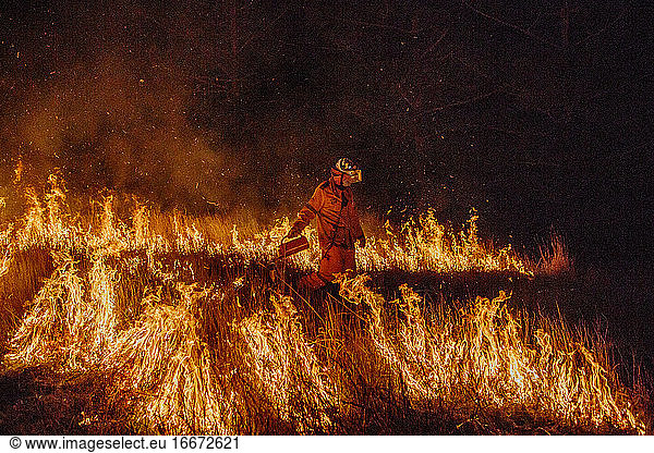 Firefighter conducting a controlled burn during a large wildfire