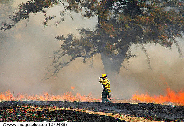 Firefighter setting a controlled burn of a pasture in late summer to destroy undesirable plants; Roseburg  Oregon  USA.