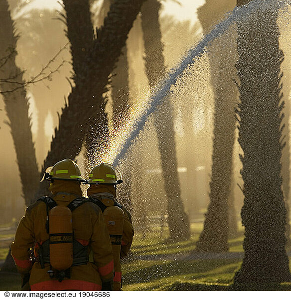 Firefighters with fire hose in a date grove in Death Valley National Park  California.