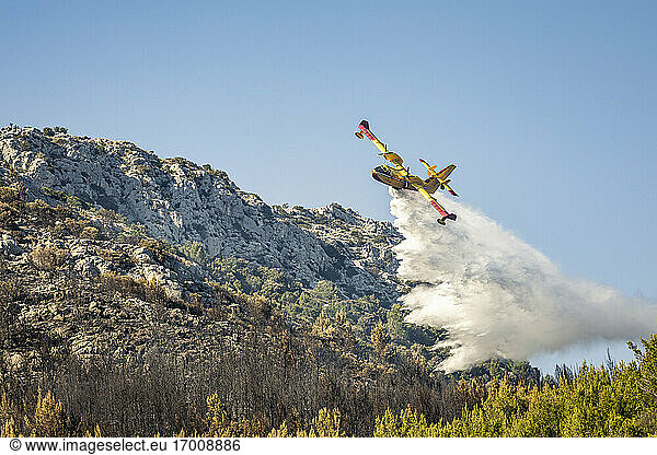Firefighting airplane pouring water on forest