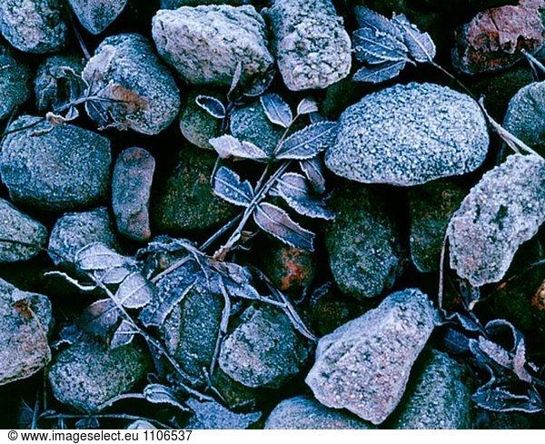 First frost on rocks
