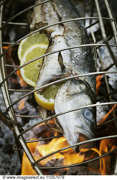 Fisch in einem Fischgrillkorb über einem Grill.