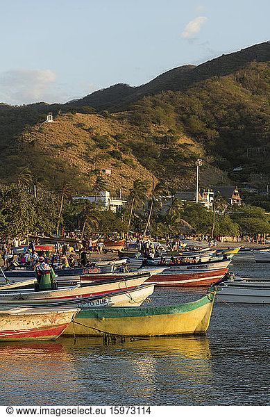 Fischerboote  Taganga  Abteilung Magdalena  Karibik  Kolumbien  Südamerika