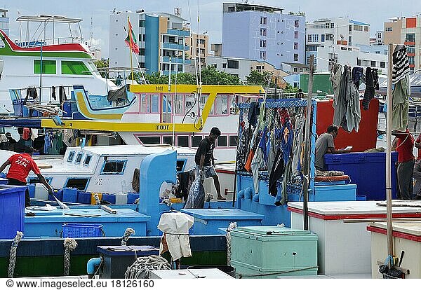 Fischereihafen  Male. Malediven  Fischerboote